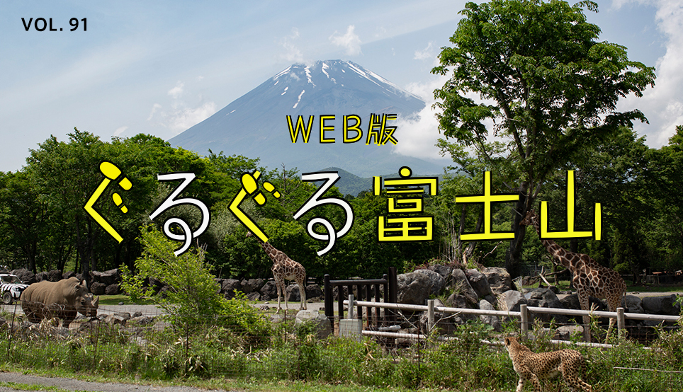 WEB版 ぐるぐる富士山 