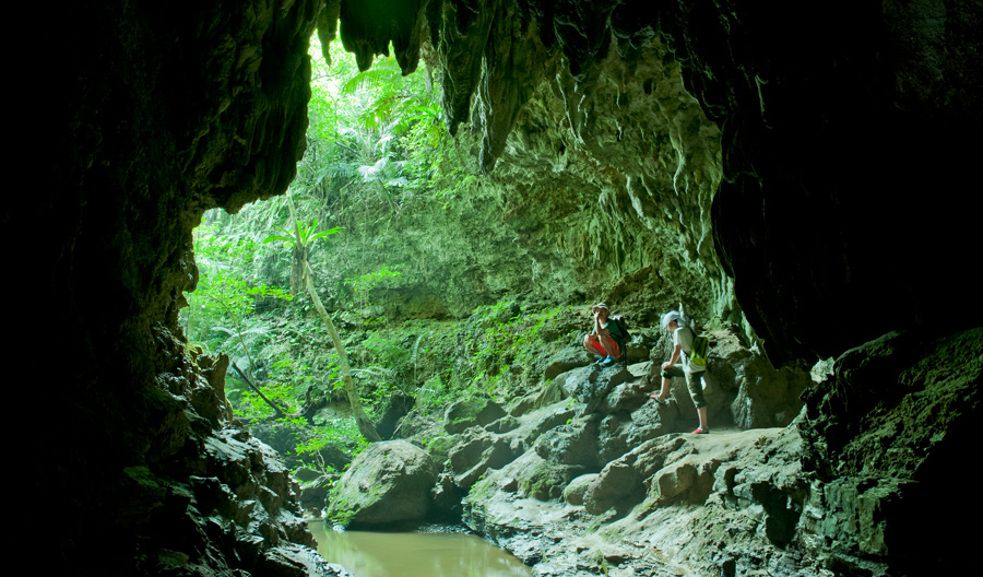 歩くこと30分。