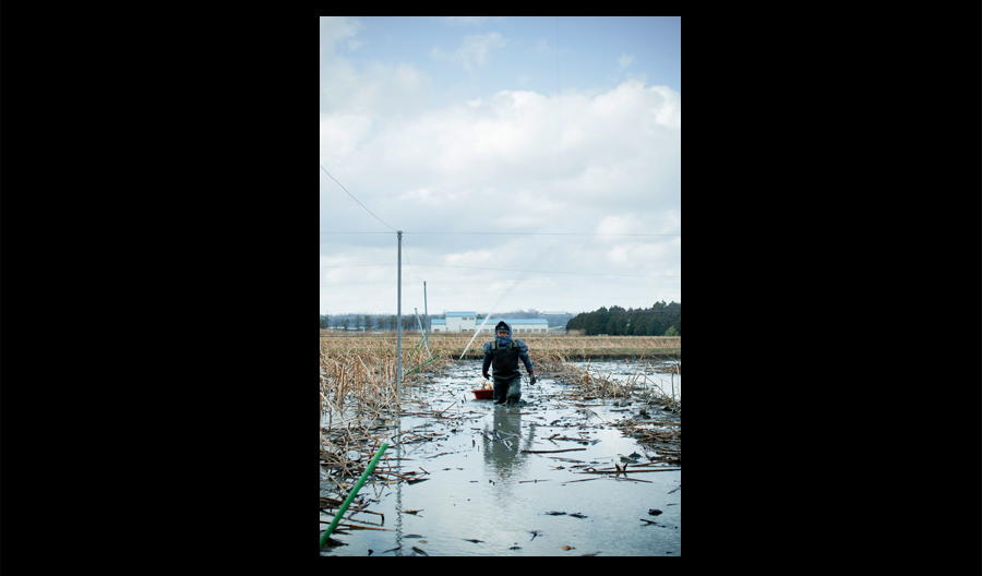 わずか30分ほど