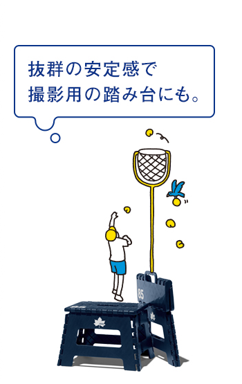 LOGOS ファミリーフェスセット