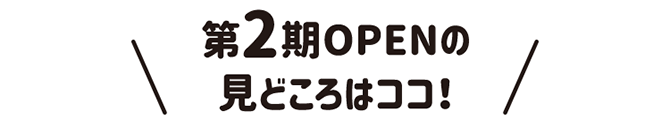 第2期OPENの見どころはココ！