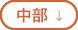 中部