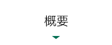 概要