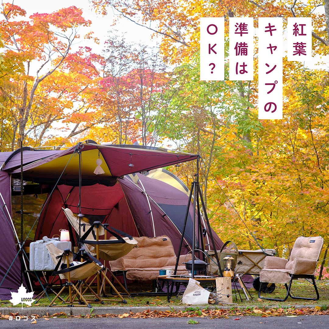 ロゴス(LOGOS) 楽ちんオートキャンプベッド270(10mロングコード) Enjoy