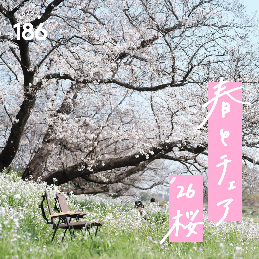 春とチェア ’26桜 vol. 186