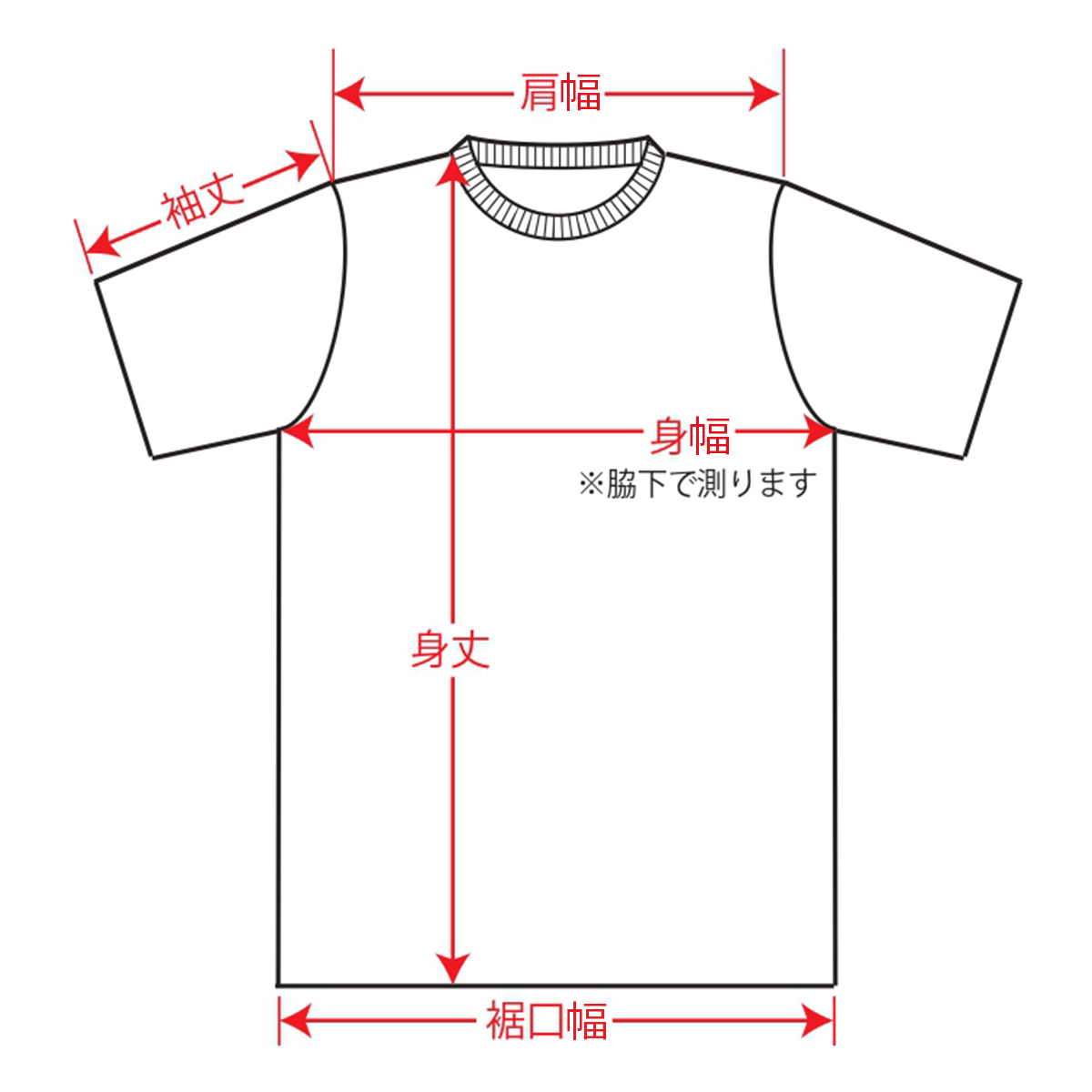 サイズガイド