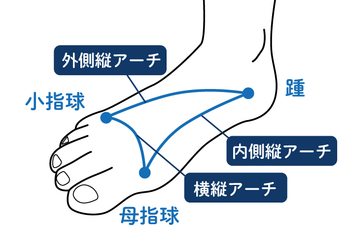 足の健康を守る足裏の3つのアーチの役割