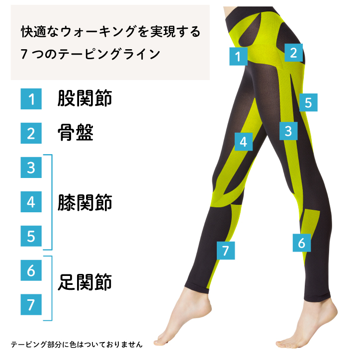 7つのテーピングラインでしっかりサポート