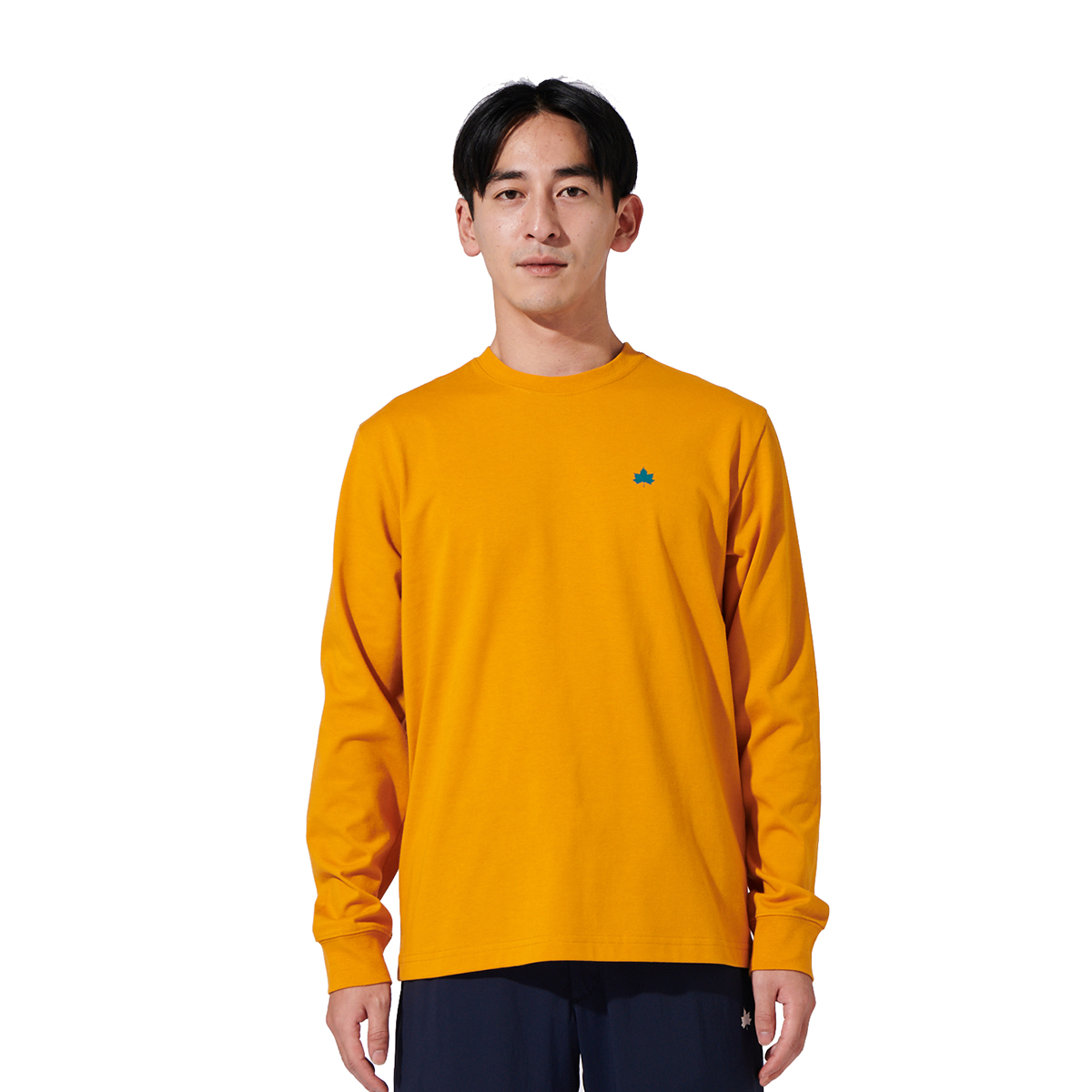 バックプリントTシャツ（メンズ） トップス