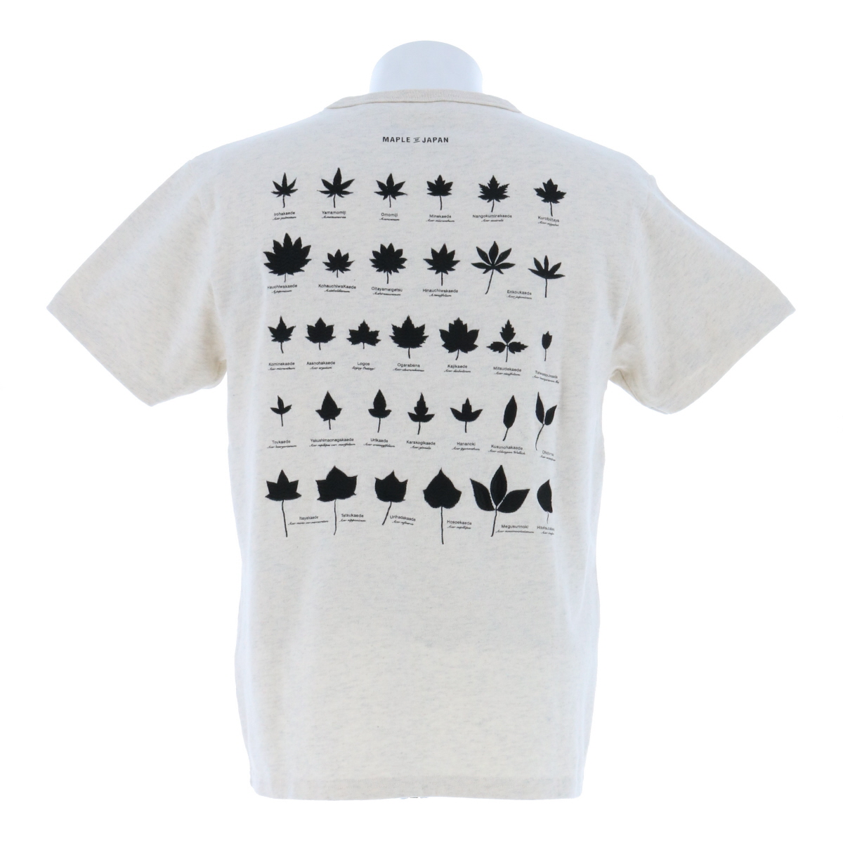 T-A MAPLE（ユニセックス） トップス