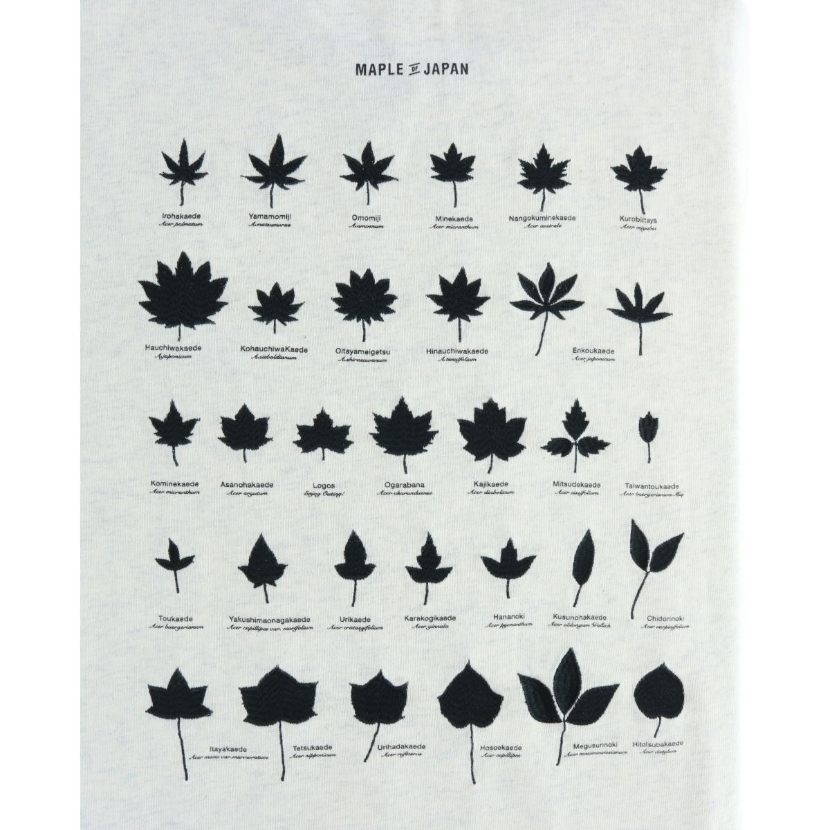 T-A MAPLE（ユニセックス） トップス