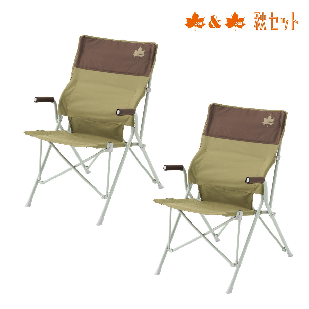 バックホールドチェア　2脚セット 家具