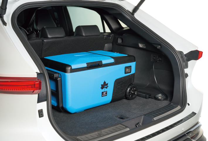 車載バッテリー保護機能搭載