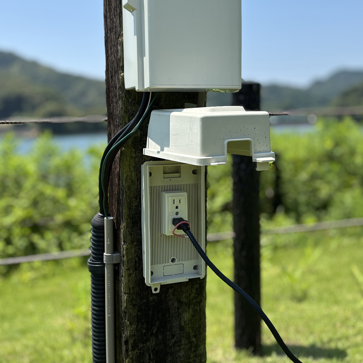 （野電）エレキャン・温冷/冷凍庫 27-BF（-20℃/60℃ ホイール） 野電