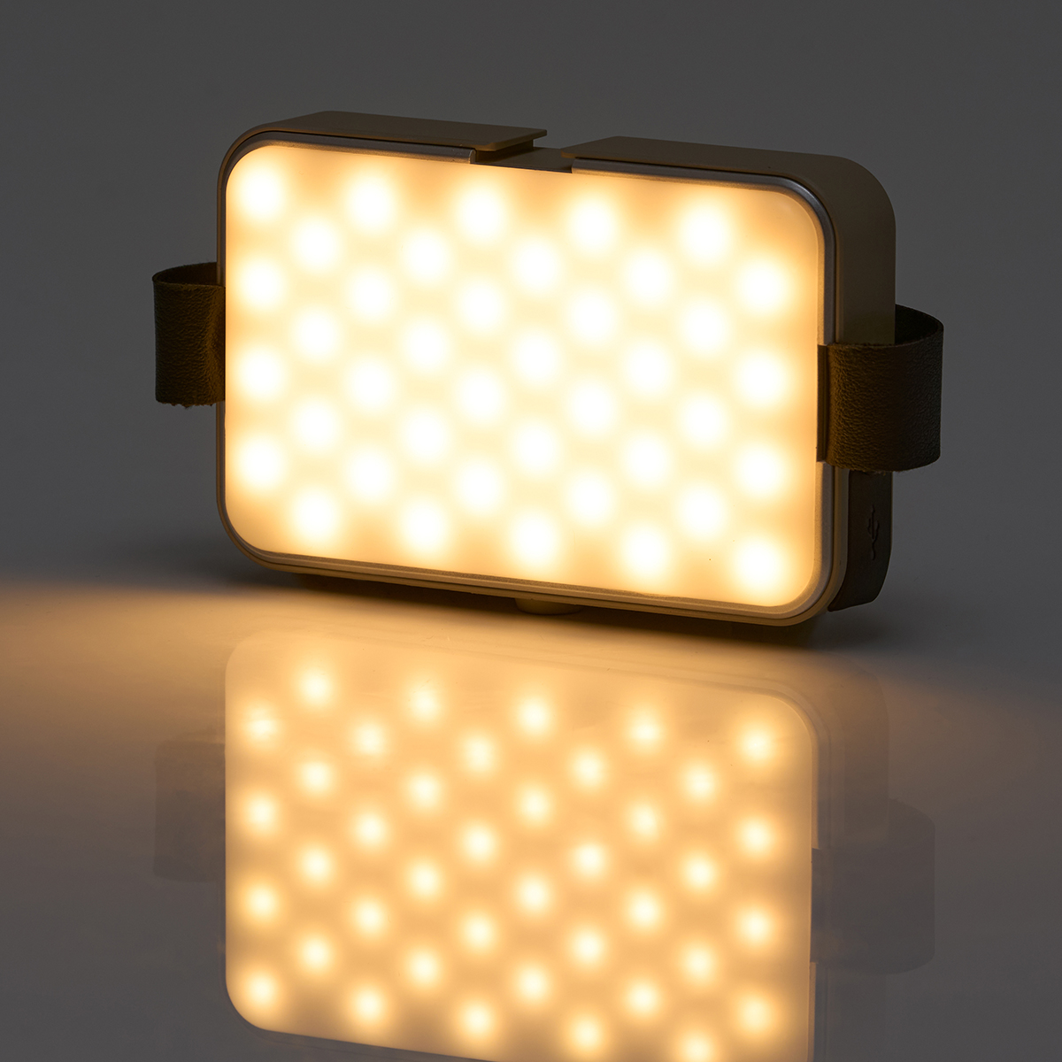 【2月26日販売開始】野電 バッテリーPANELライト 野電