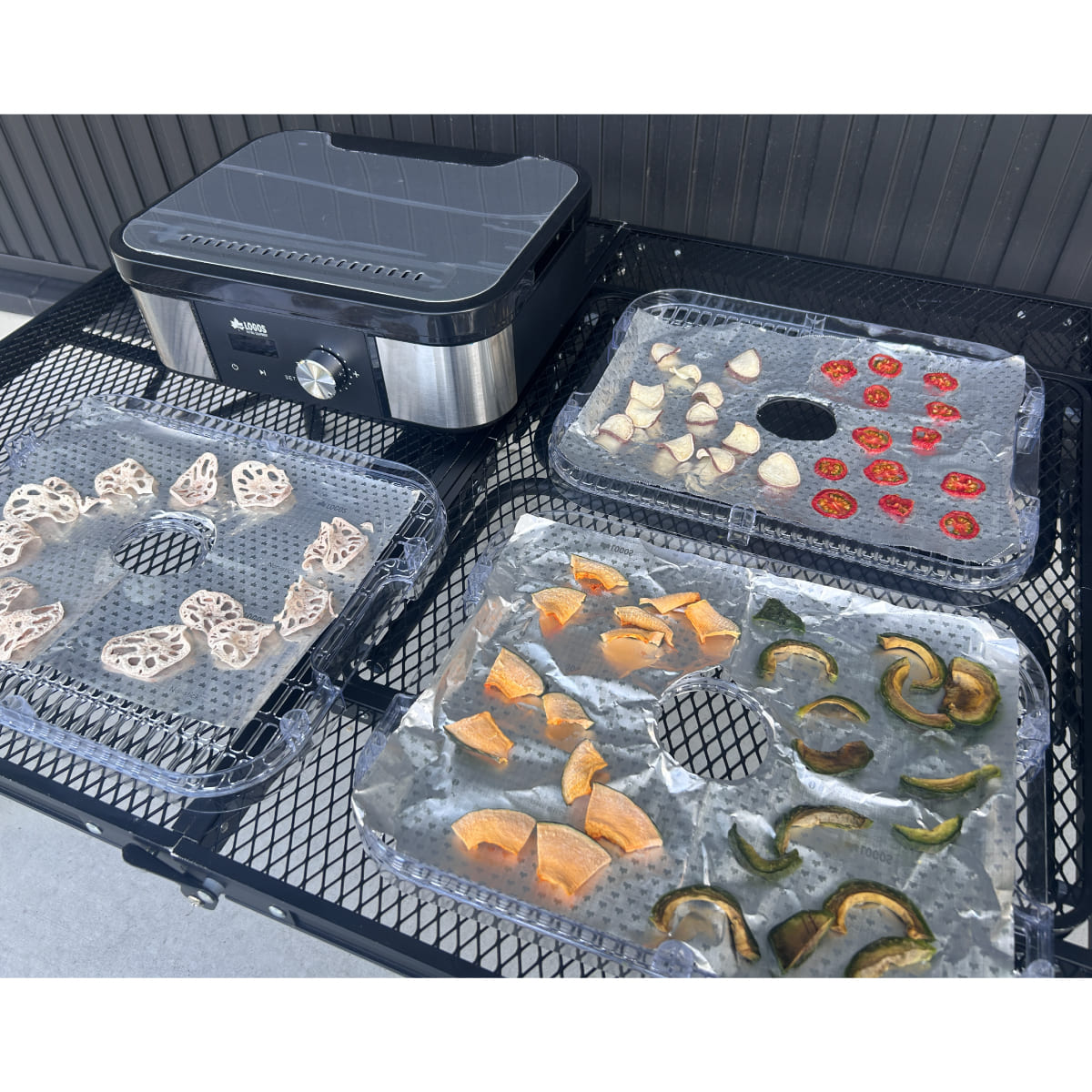 干物　フードドライヤー　ドライフルーツ