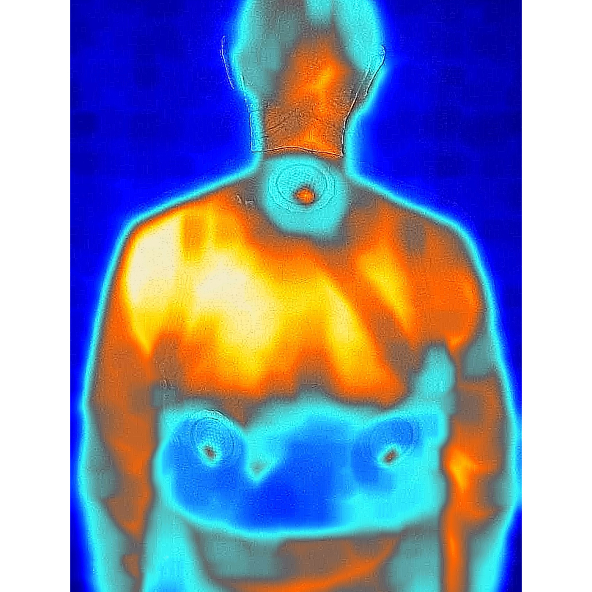温冷　ペルチェ　ベスト　熱中症対策