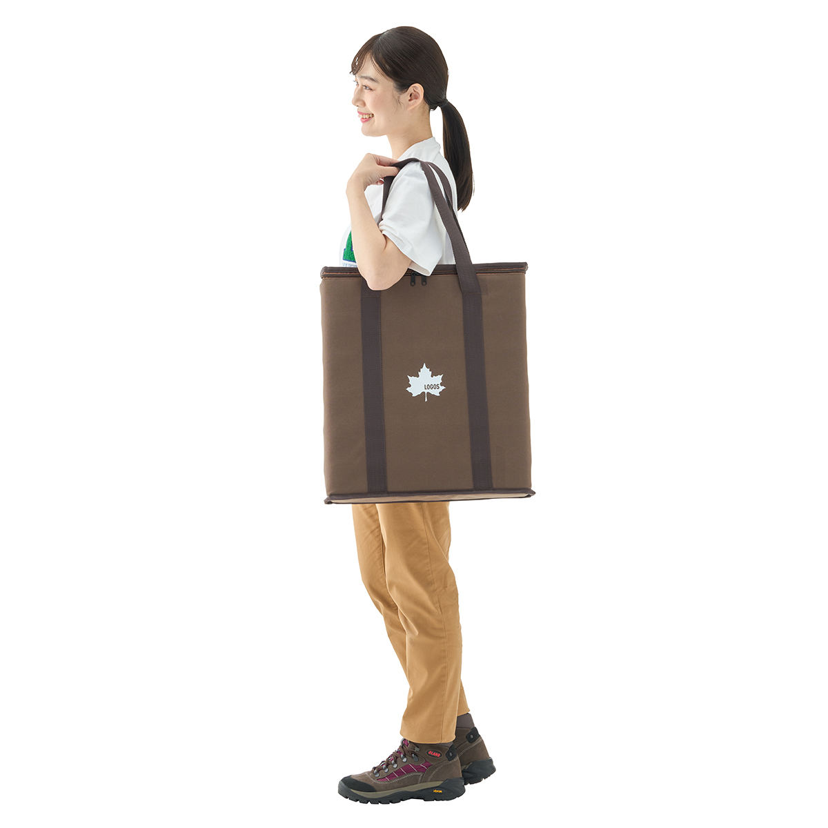 【8月28日販売開始】丸洗いバッグインキャリーカート（ブルーストライプ） キャリー