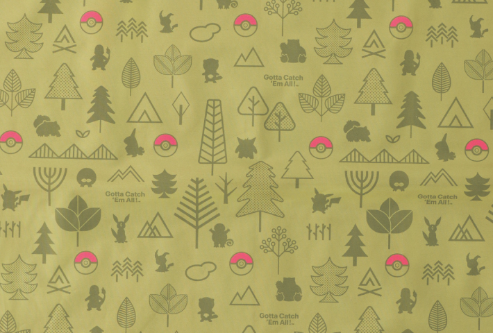 ポケモン30周年記念デザイン