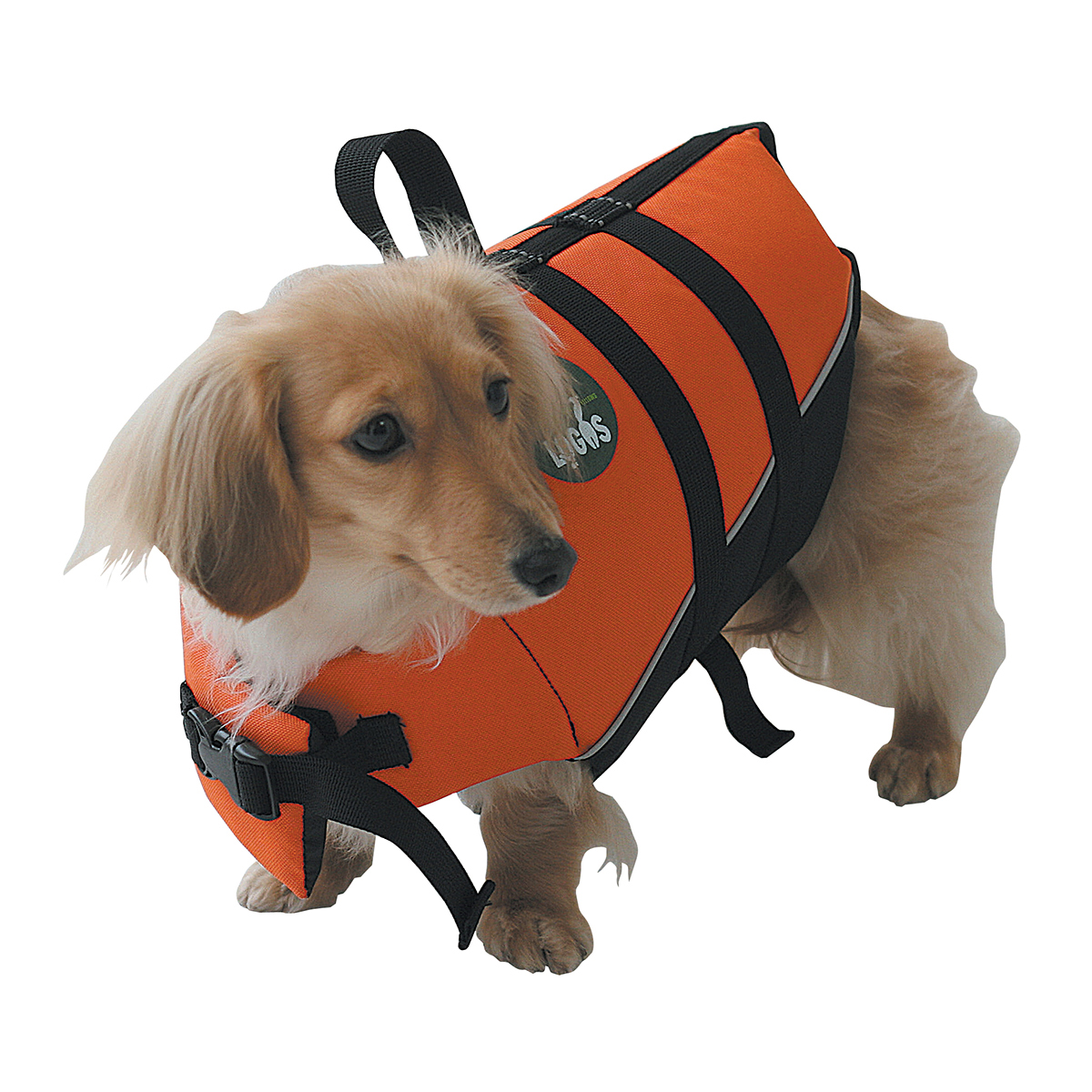 PET フローティングベストXS 外遊び