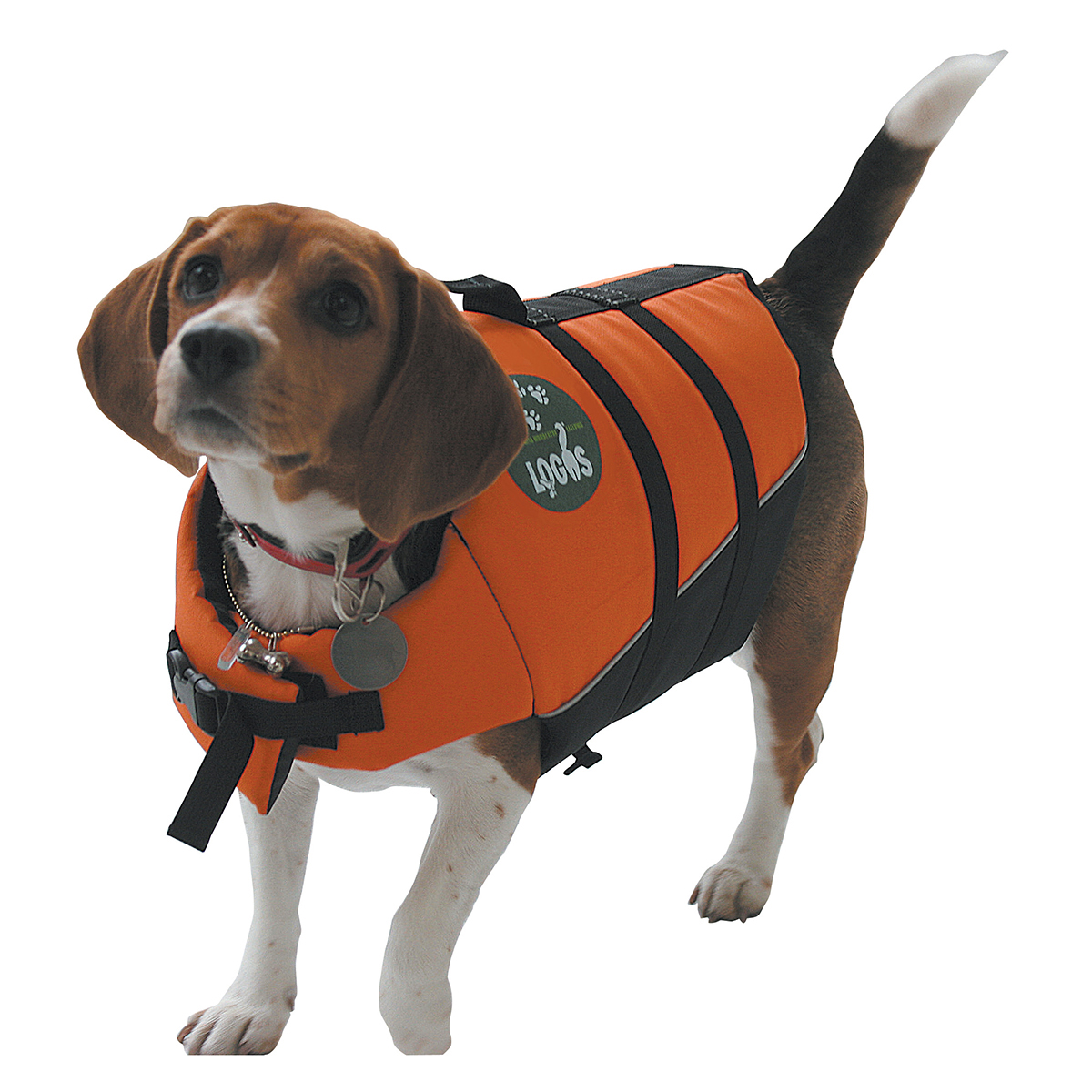 PET フローティングベストM 外遊び