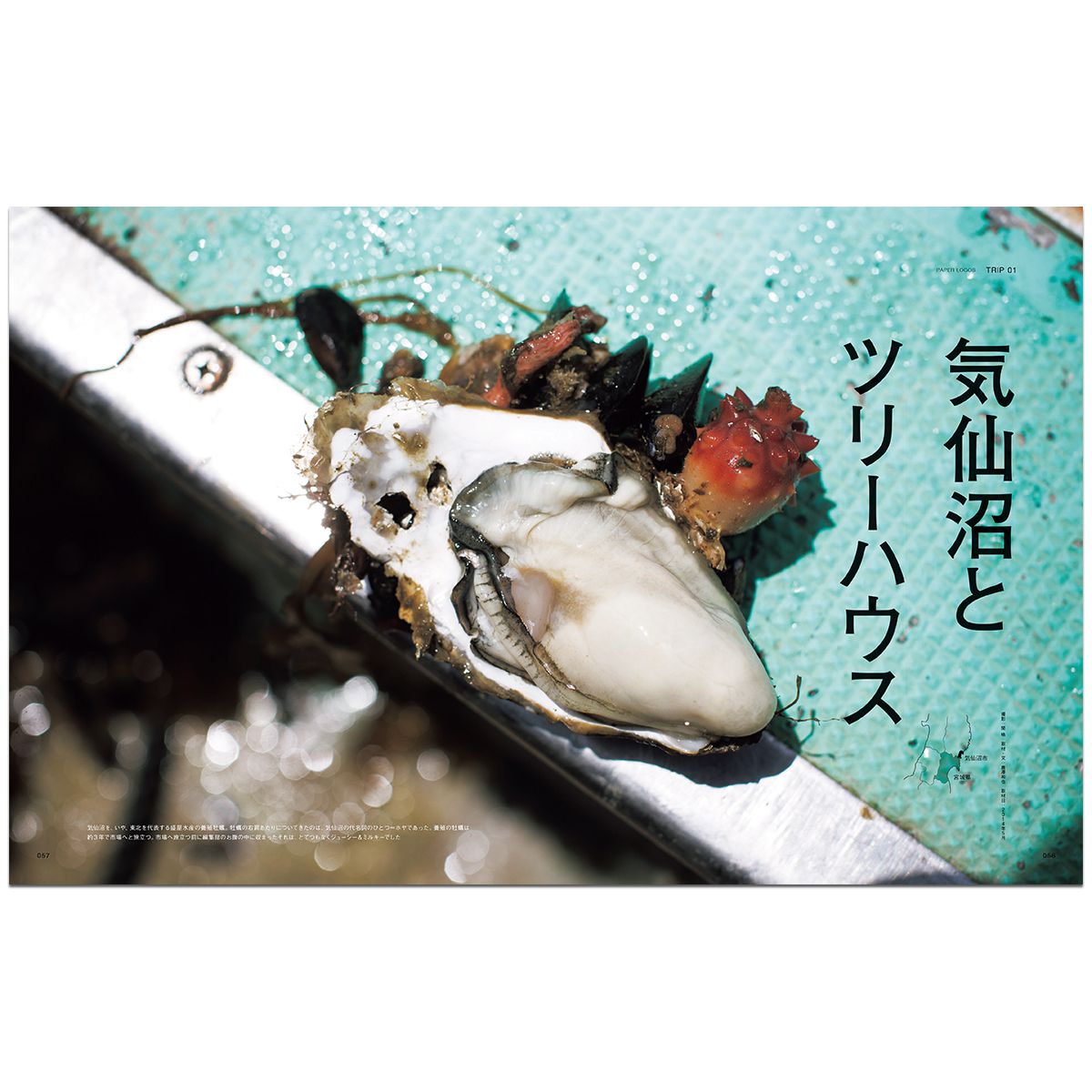 PAPER LOGOS　Vol.3 カタログ