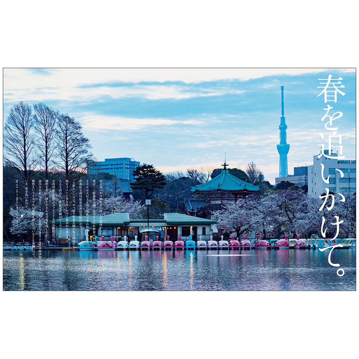 PAPER LOGOS　Vol.6 カタログ