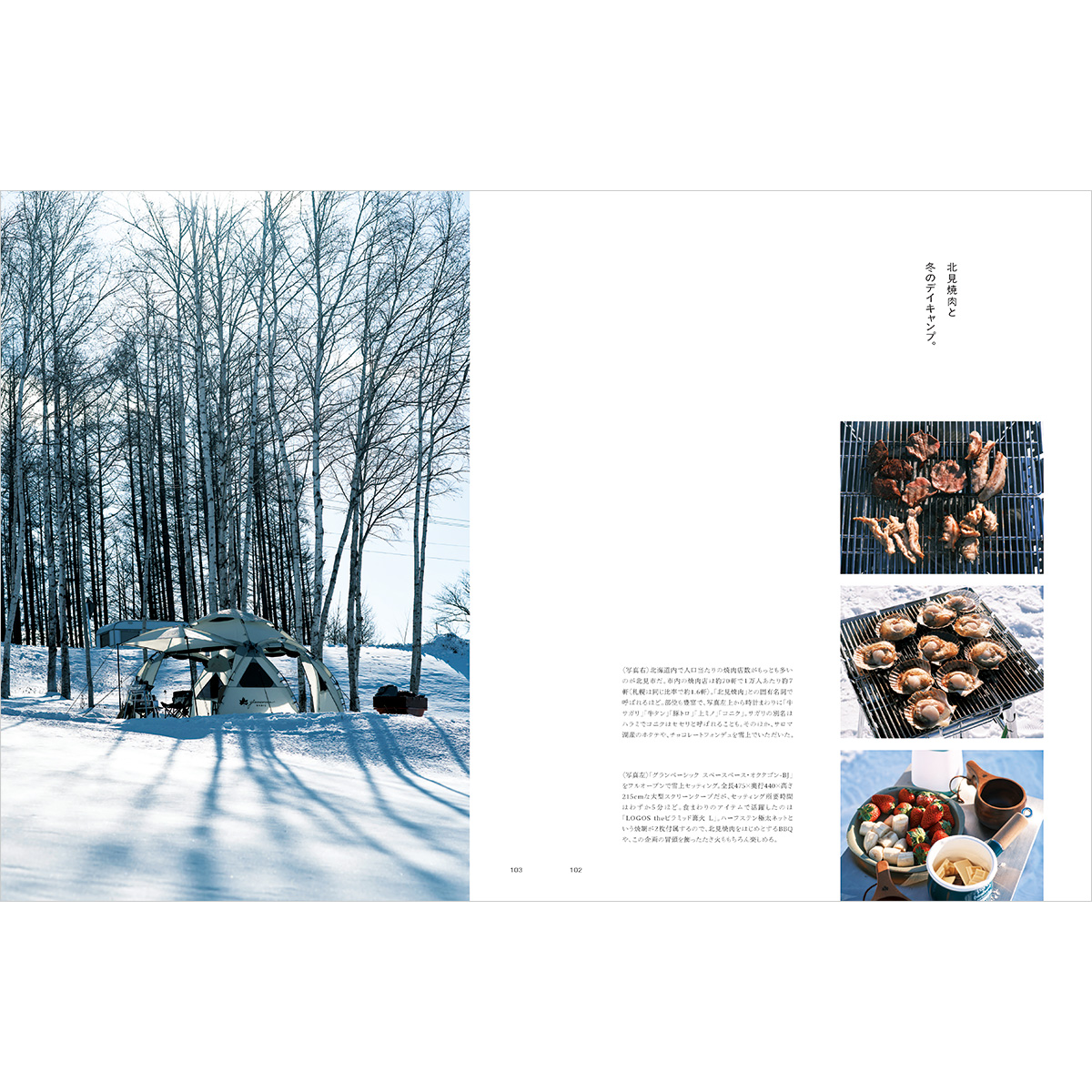 PAPER LOGOS vol.13 カタログ PAPER LOGOS vol.13 カタログ